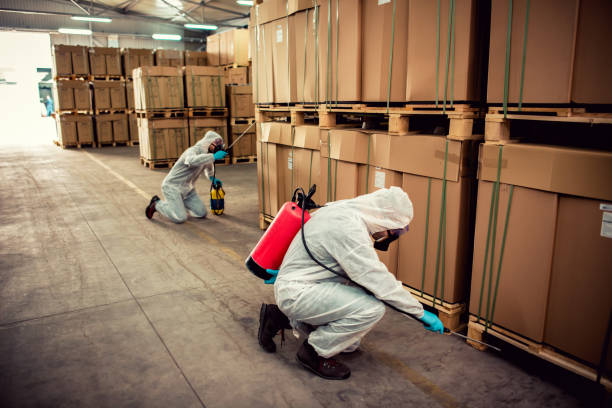 Best Commercial Pest Control Services  in Searingtown, NY