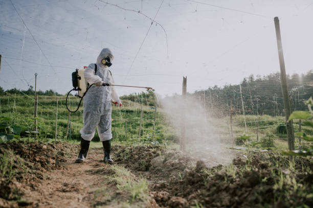Best Pest Prevention Services  in Searingtown, NY