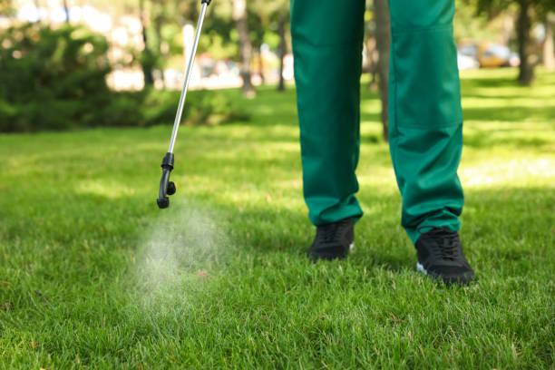 Best Flea Control Services  in Searingtown, NY