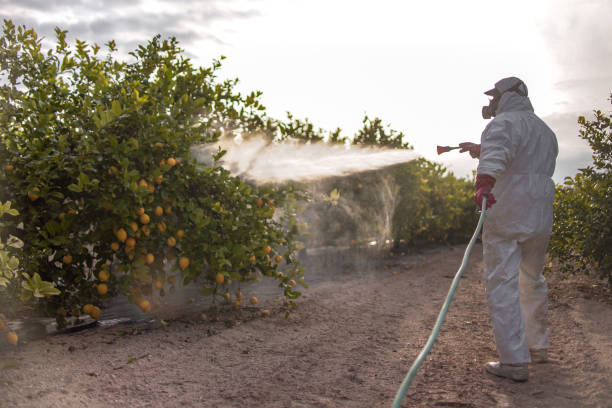 Best Best Pest Control Companies  in Searingtown, NY